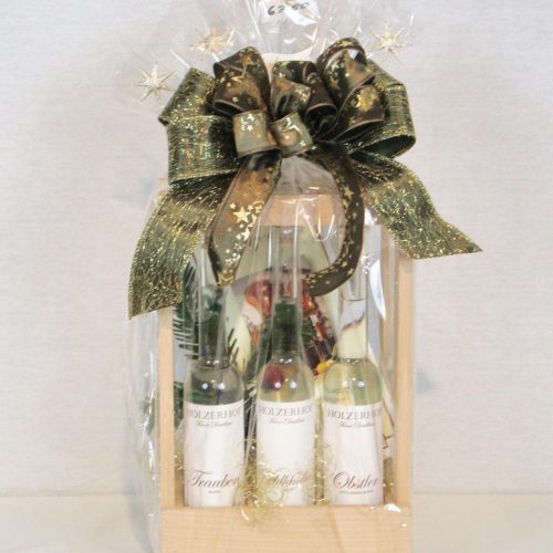 praesentservice-holzerhof03-e1702897538333-773x1030